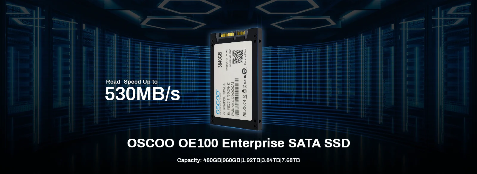 OSCOO OE100 enterprise 2.5-inch SATA SSD 3840GB with 530MB/s read speed, available in 480GB to 7.68TB for data center and server use