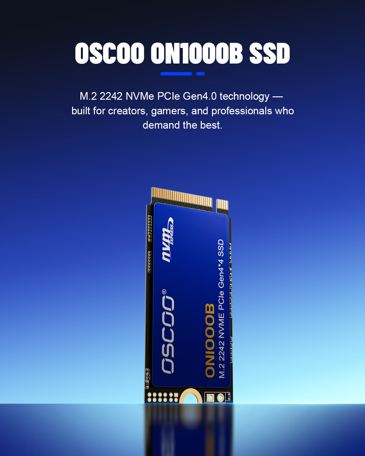 ON1000B M.2 2242 NVMe PCIe Gen4.0 SSD